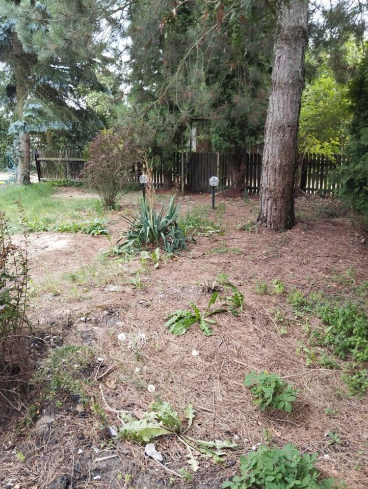 Działka rekreacyjna Wilkowa Wieś. Zdjęcie 4