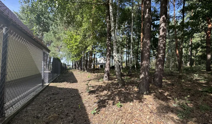 Działka leśna Wsola, ul. Spacerowa
