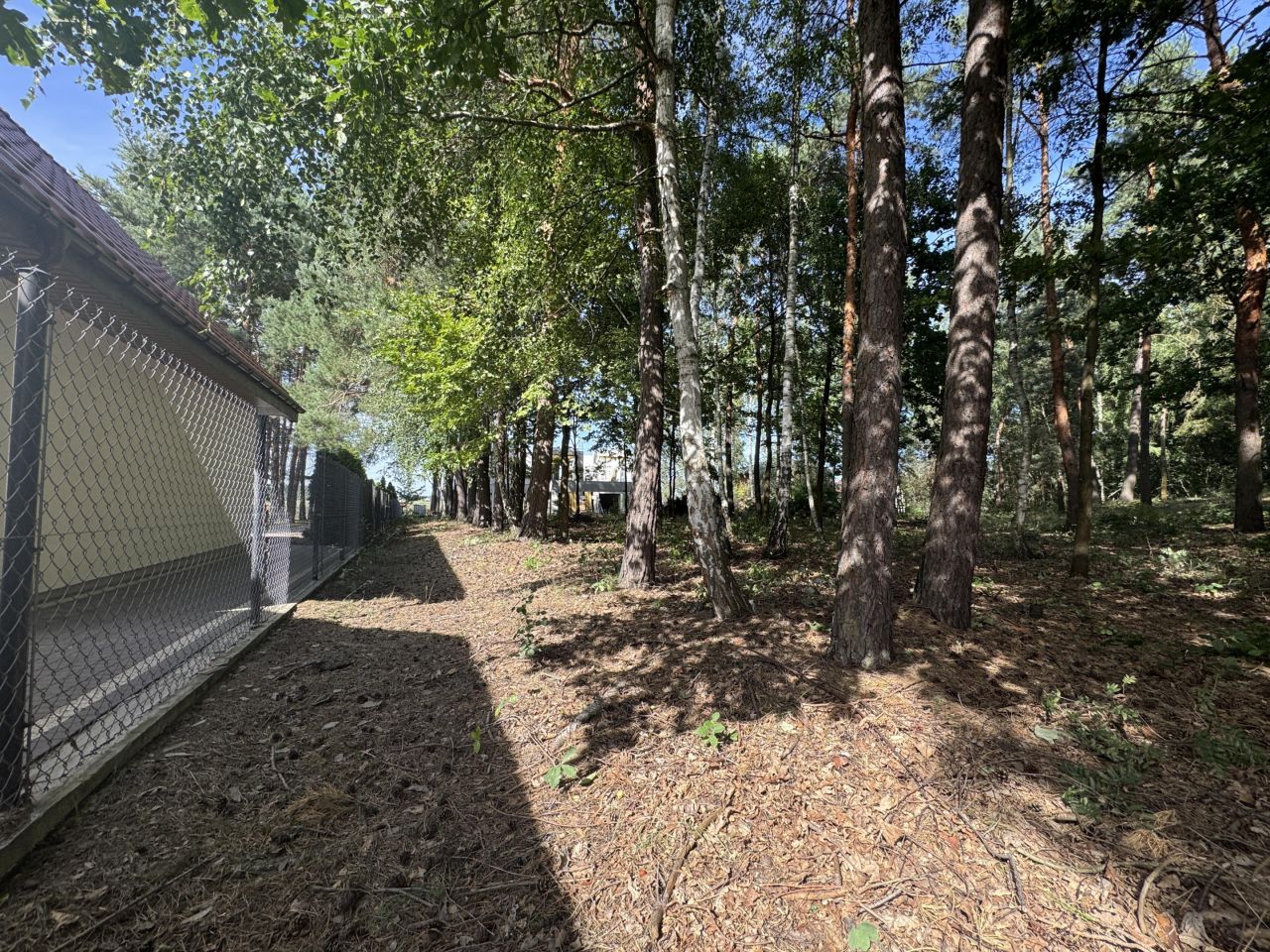 Działka leśna Wsola, ul. Spacerowa. Zdjęcie 1