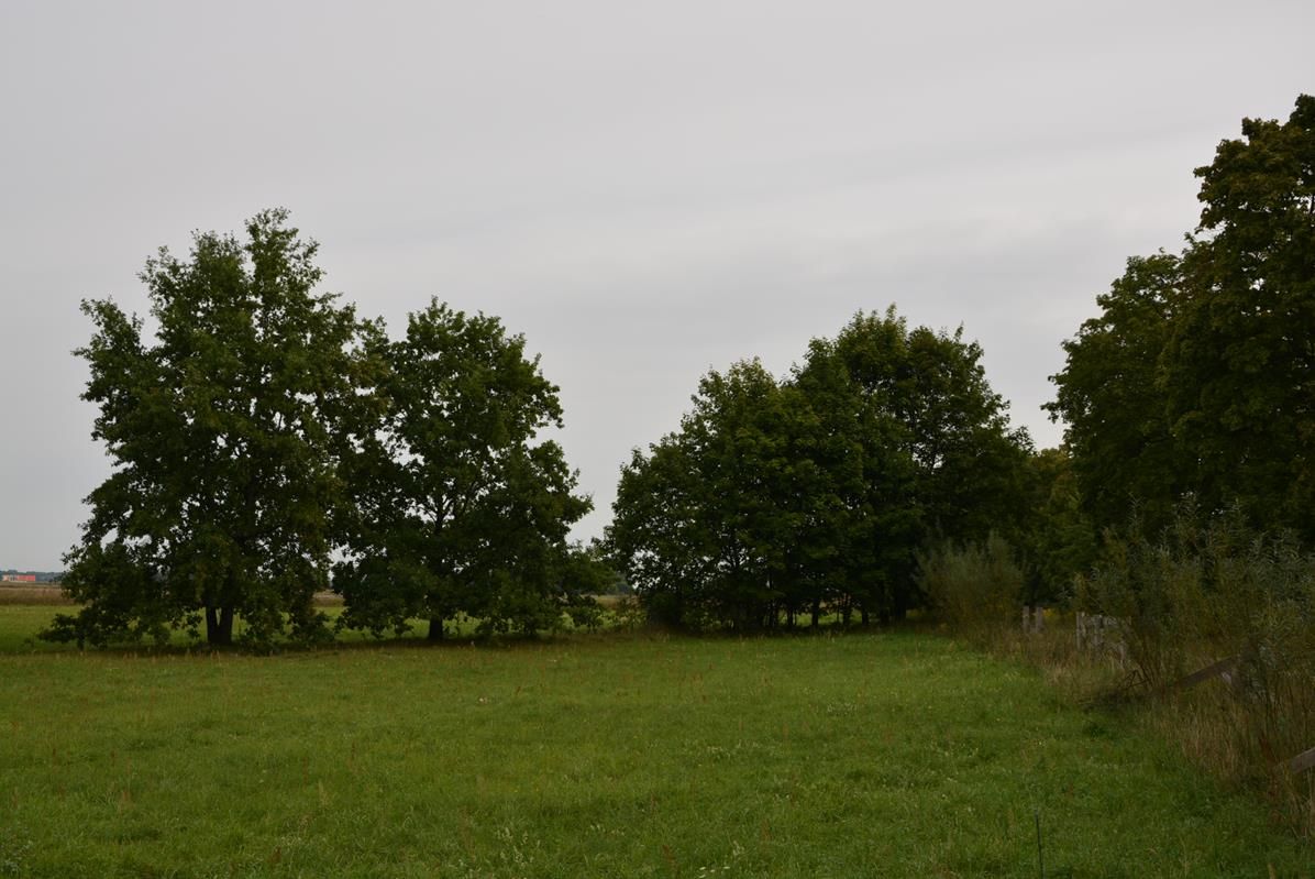 Działka rolno-budowlana Szymonka. Zdjęcie 12