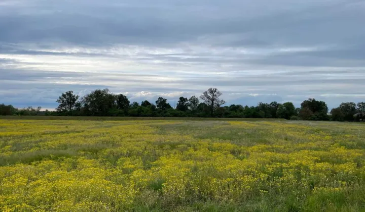 Działka budowlana Kwiatkowice