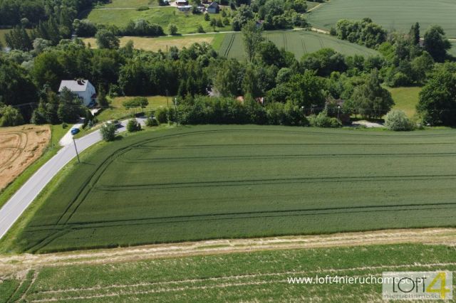 Działka budowlana Tuchów. Zdjęcie 15