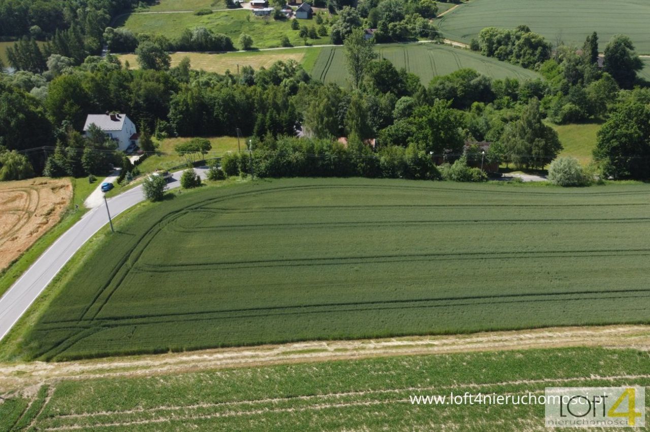 Działka budowlana Tuchów. Zdjęcie 15