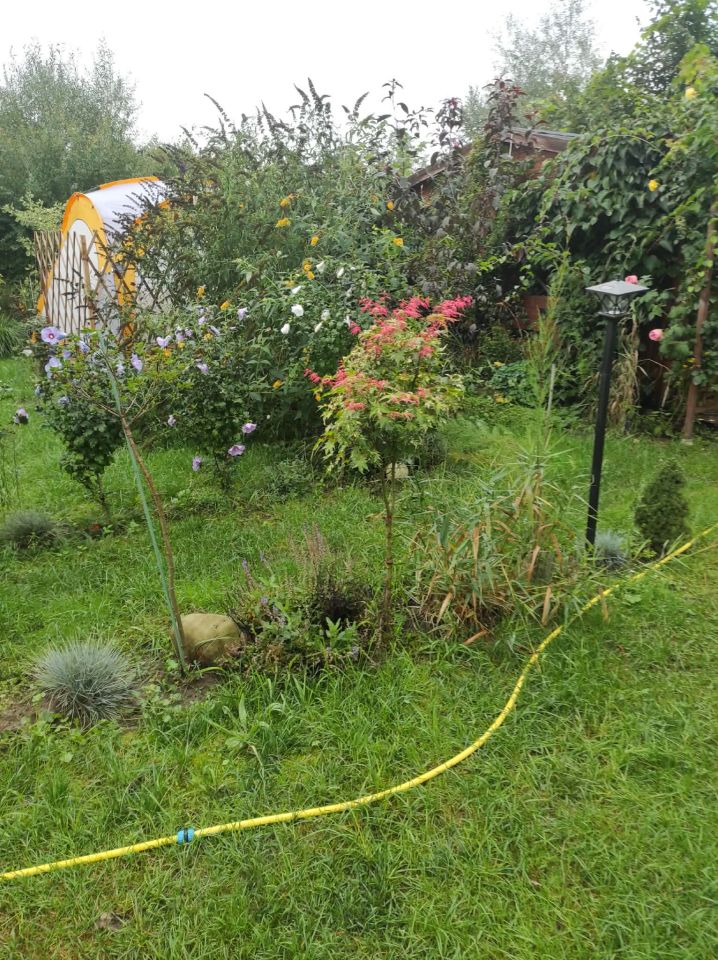 Działka rekreacyjna Jaroszowice Zbywaczówka. Zdjęcie 8