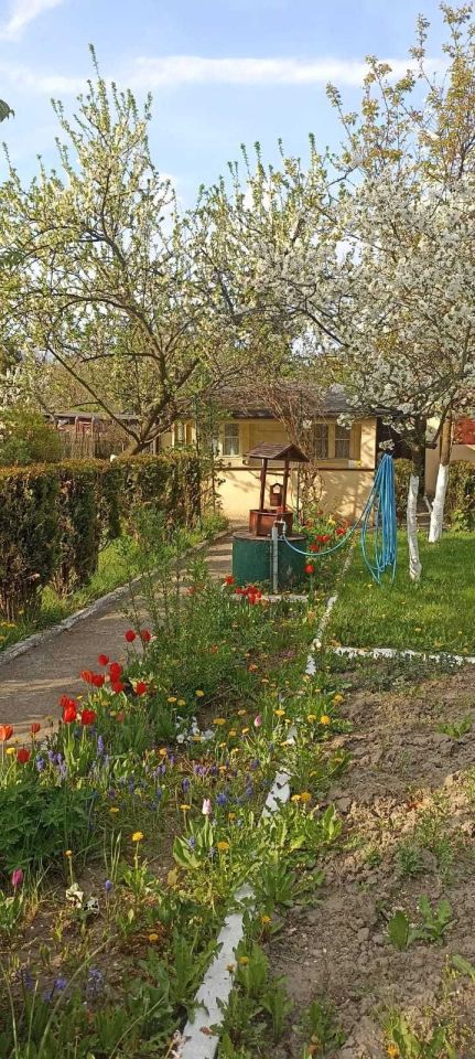 Działka rod Chorzów. Zdjęcie 8