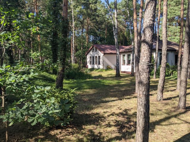 dom wolnostojący, 5 pokoi Józefów Kolonia Błota, ul. Graniczna. Zdjęcie 1