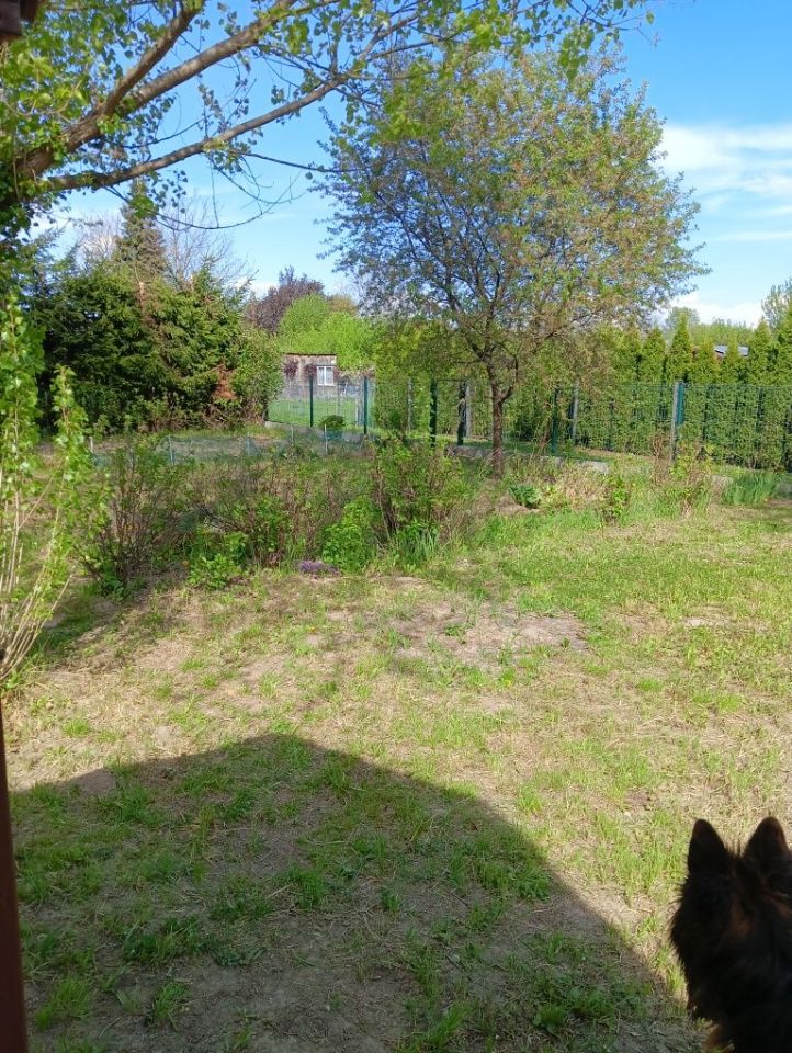 Działka rod Ostrowiec Świętokrzyski. Zdjęcie 7