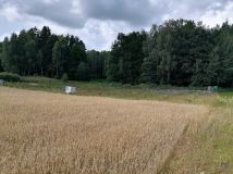 Działka rolna Blanki. Zdjęcie 4