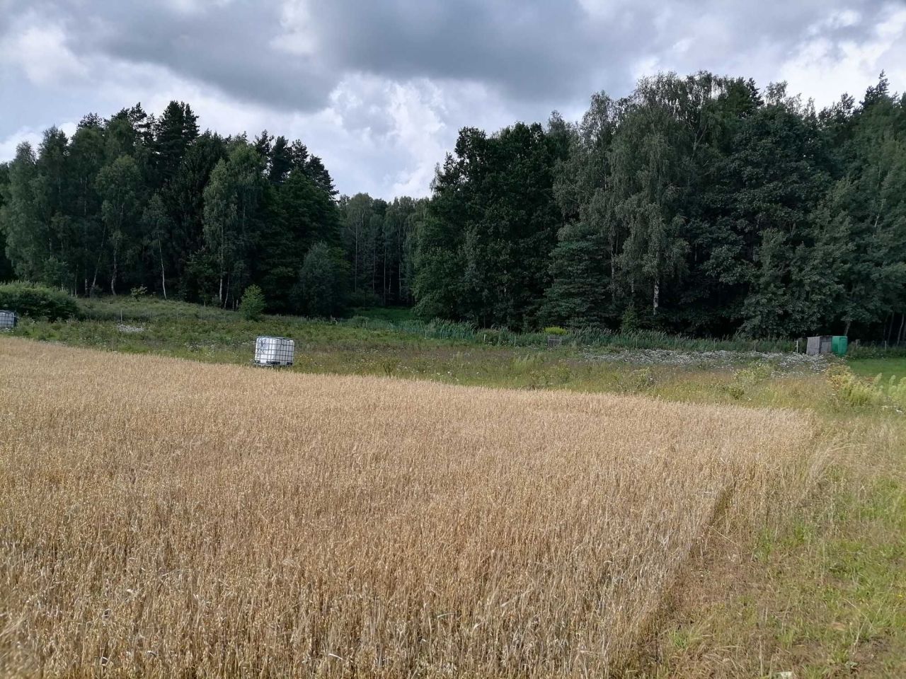 Działka rolna Blanki. Zdjęcie 5