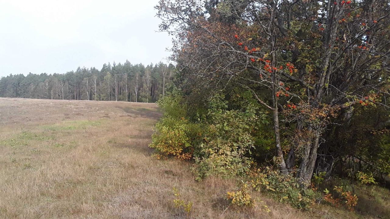 Działka rolna Darżkowo. Zdjęcie 3