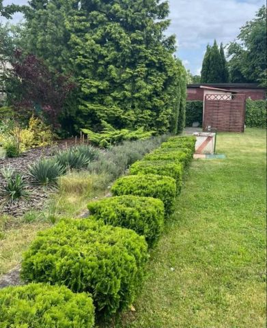 Działka rekreacyjna Kalisz, ul. Polna. Zdjęcie 3