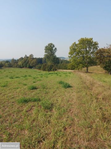 Działka rolna Blenda. Zdjęcie 1