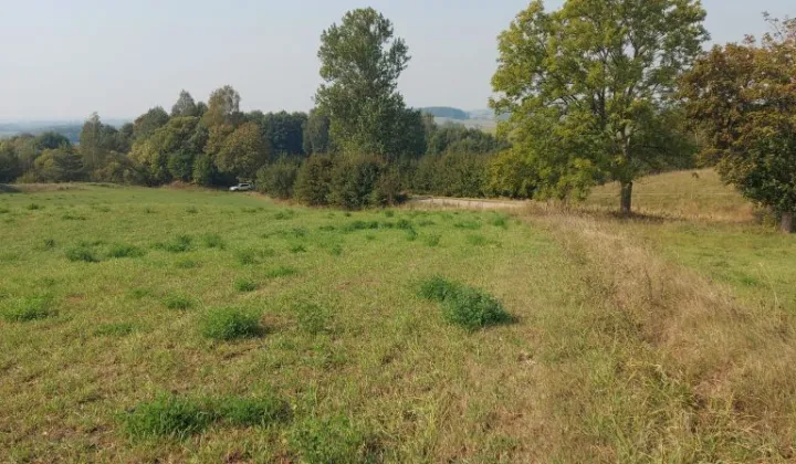 Działka rolna Blenda