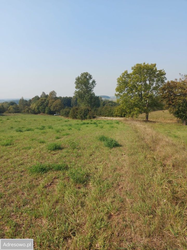 Działka rolna Blenda. Zdjęcie 1