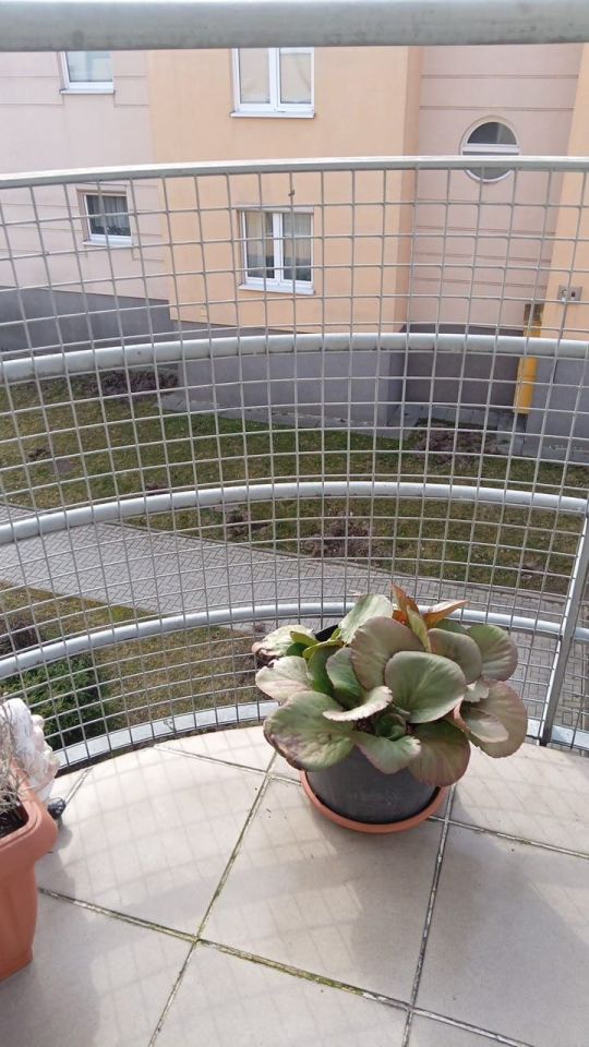 Mieszkanie 1-pokojowe Kraków Dębniki, ul. Borkowska. Zdjęcie 8