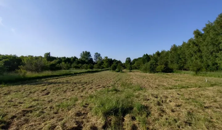 Działka budowlana Myszków, ul. Pohulańska