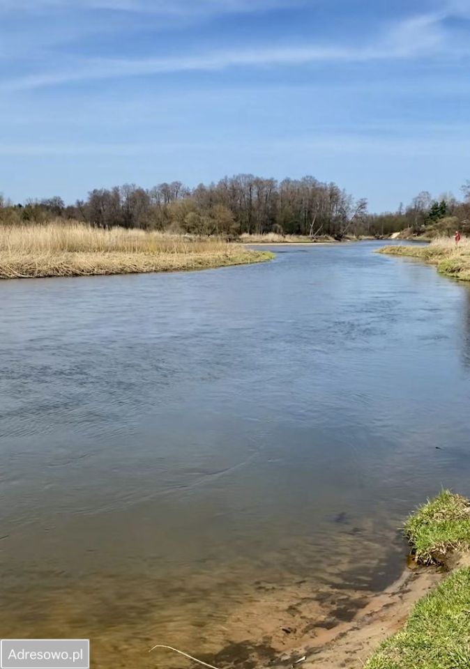 Działka leśna Biała Góra. Zdjęcie 3