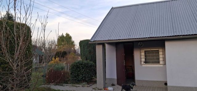 Działka rod Nysa, ul. Adama Mickiewicza. Zdjęcie 1