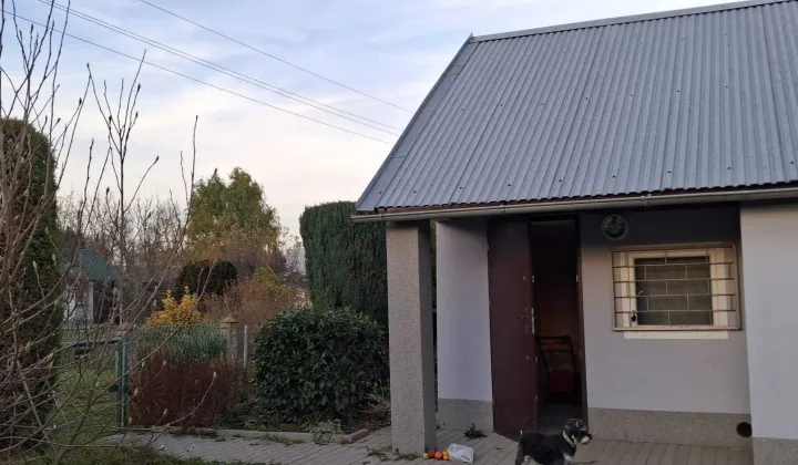 Działka rod Nysa, ul. Adama Mickiewicza