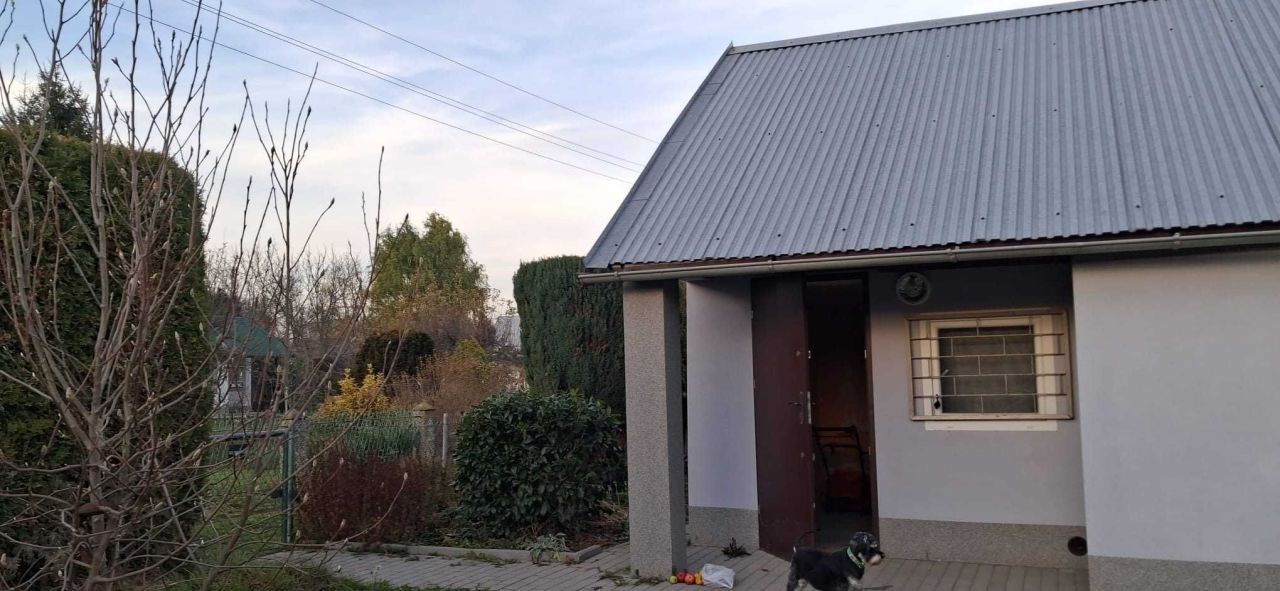 Działka rod Nysa, ul. Adama Mickiewicza. Zdjęcie 1