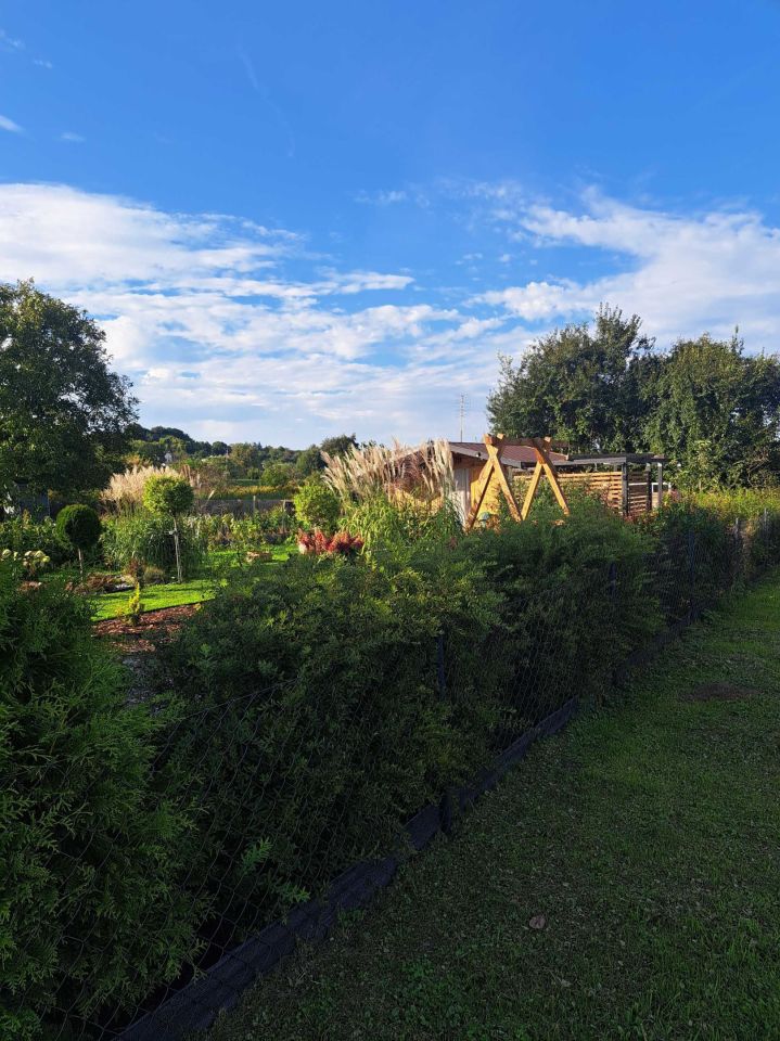 Działka rod Pruszcz Gdański. Zdjęcie 3