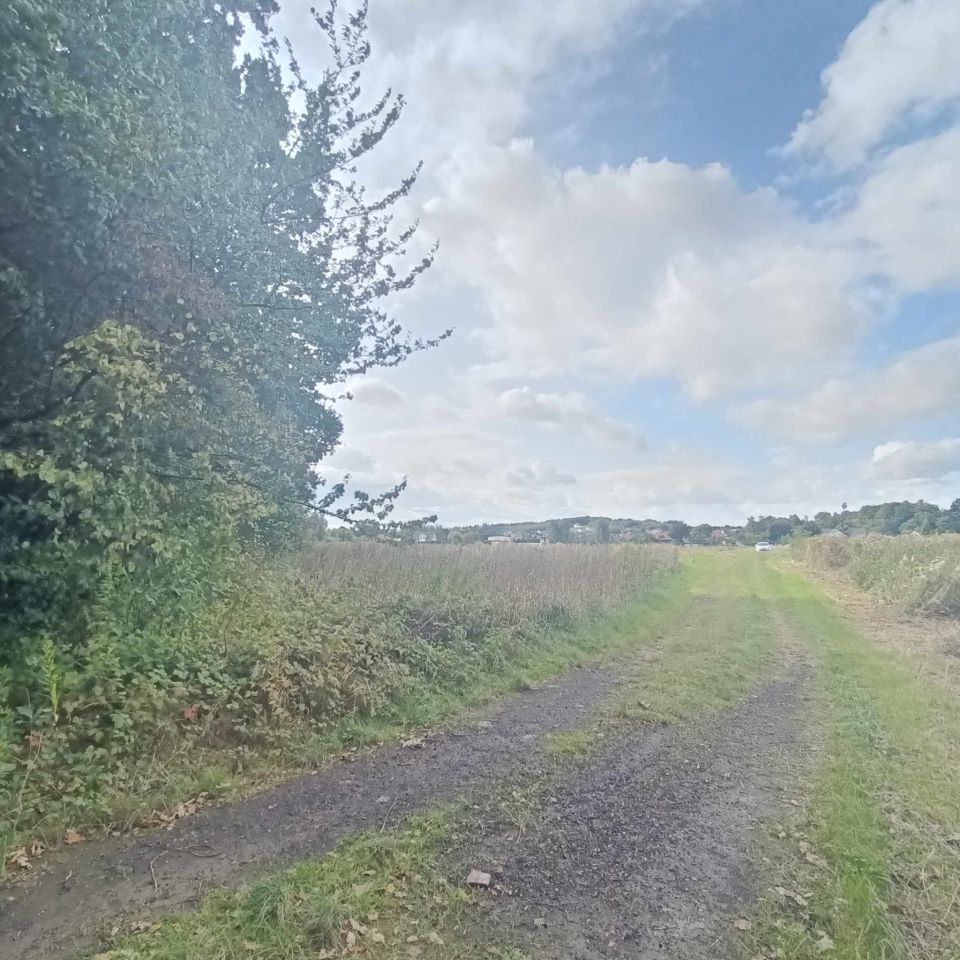 Działka budowlana Wierzbna, ul. Kwiatowa. Zdjęcie 10