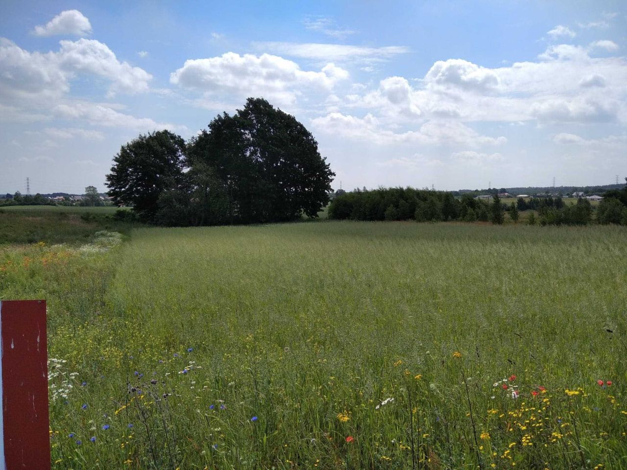 Działka budowlana Przyjaźń, ul. Łąkowa. Zdjęcie 3