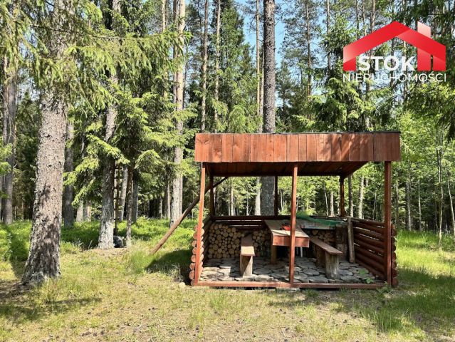 Działka leśna Rudnica. Zdjęcie 4