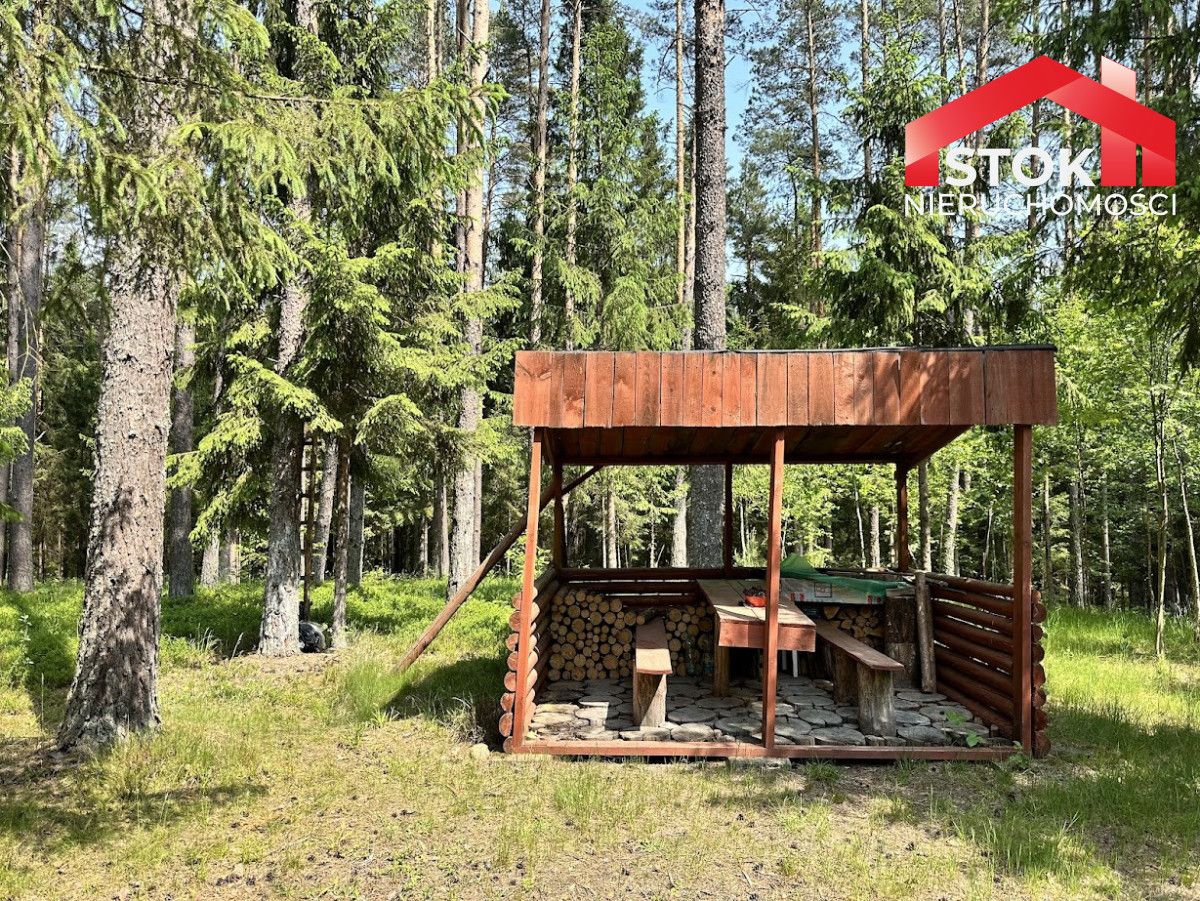 Działka leśna Rudnica. Zdjęcie 4