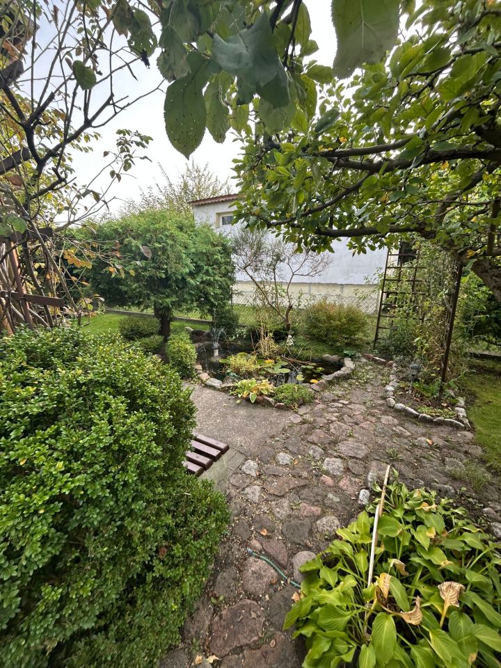 Działka rod Osówiec. Zdjęcie 12