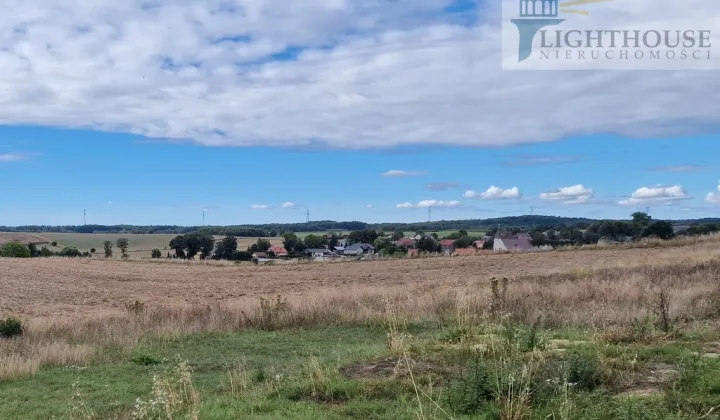 Działka siedliskowa Ełganowo