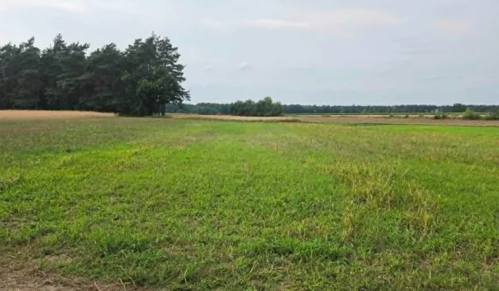 Działka rolna Smolice