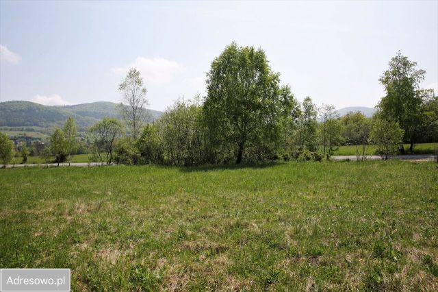 Działka budowlana Wysowa-Zdrój. Zdjęcie 1