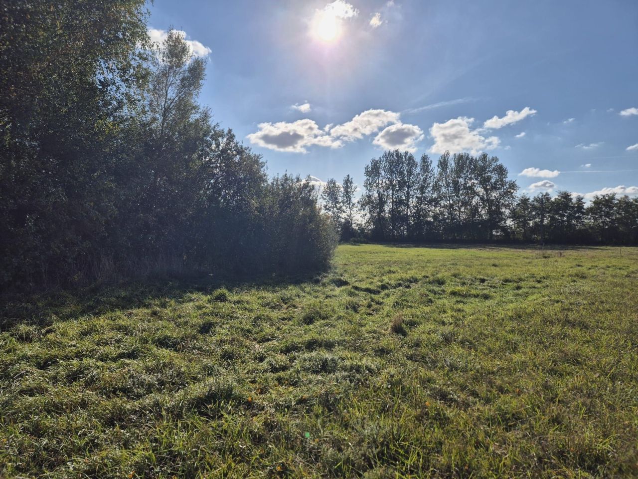 Działka inwestycyjna Naprusewo. Zdjęcie 3