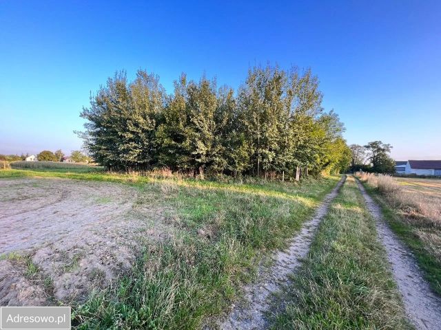 Działka budowlana Opole Żerkowice. Zdjęcie 1