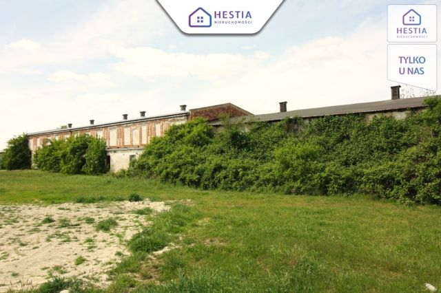 Hala/magazyn Kurcewo. Zdjęcie 2