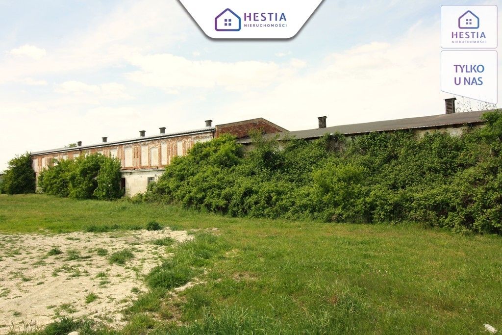 Hala/magazyn Kurcewo. Zdjęcie 2