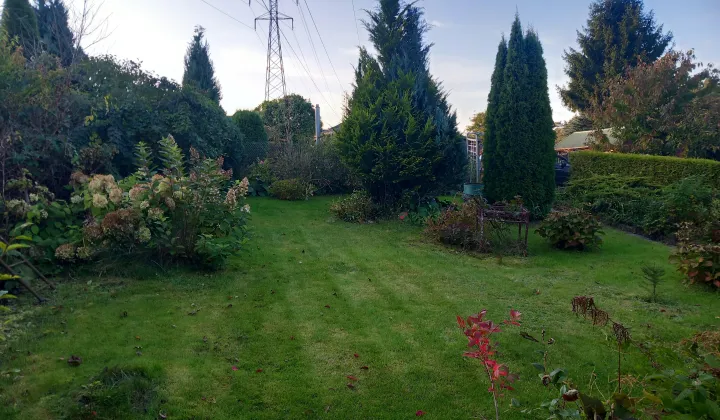 Działka rod Olsztyn Zatorze, ul. Jagiellońska