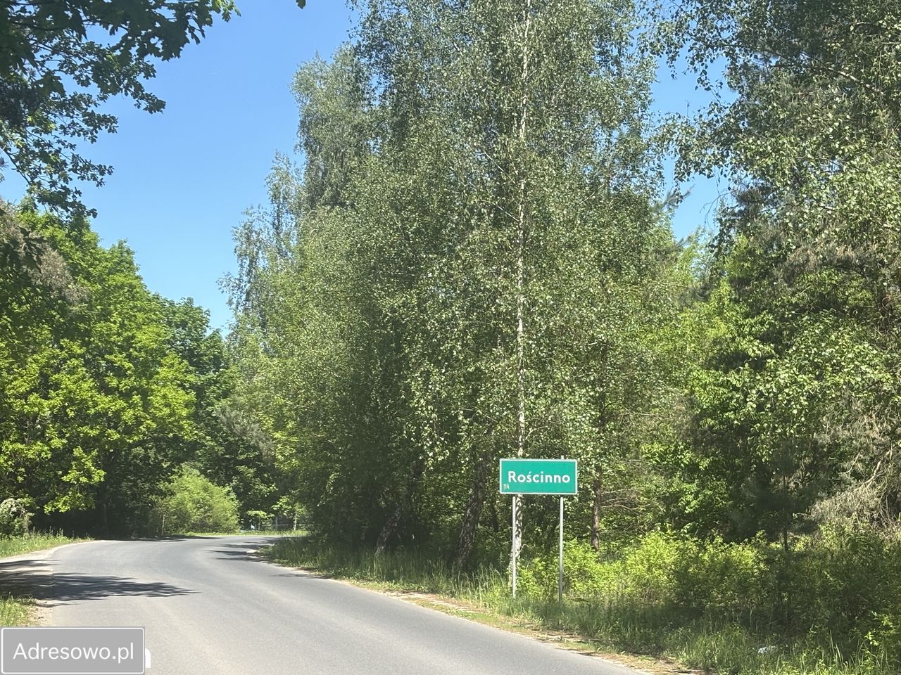 Działka budowlana Rościnno. Zdjęcie 5