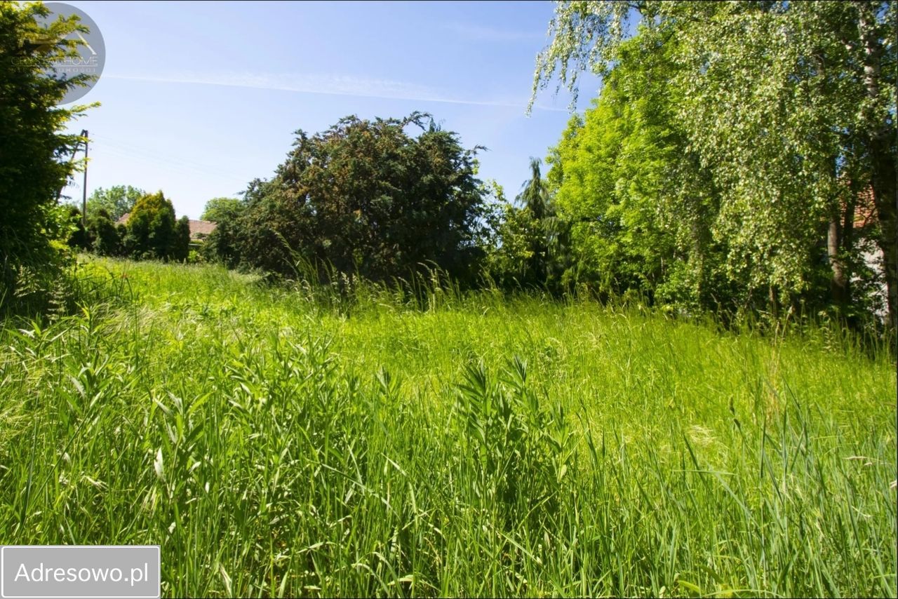Mieszkanie 3-pokojowe Pastuchów. Zdjęcie 7