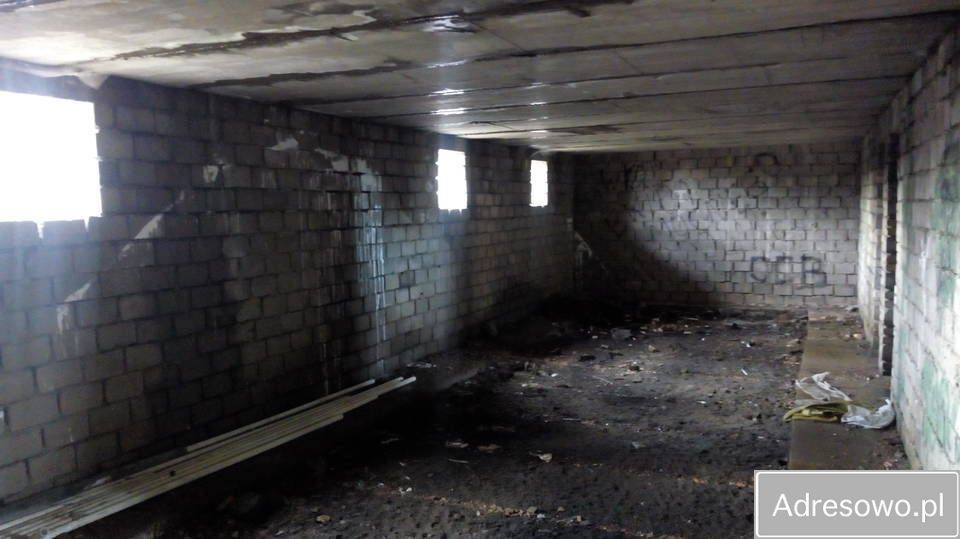 Działka inwestycyjna Sarbia. Zdjęcie 6