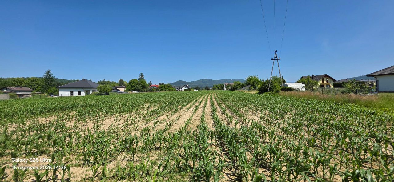 Działka budowlana Górki Wielkie, ul. Nowy Świat. Zdjęcie 2