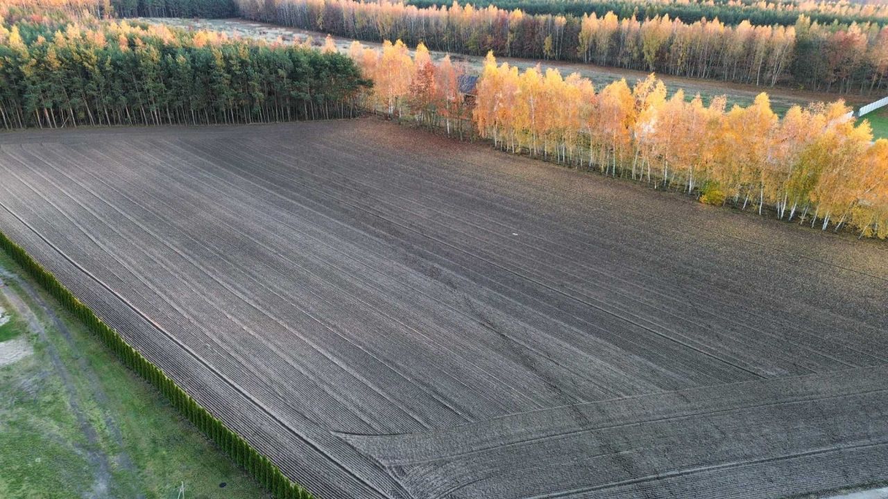 Działka budowlana Adamów. Zdjęcie 7