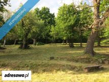 Działka budowlana Podchybie, ul. Widokowa. Zdjęcie 3