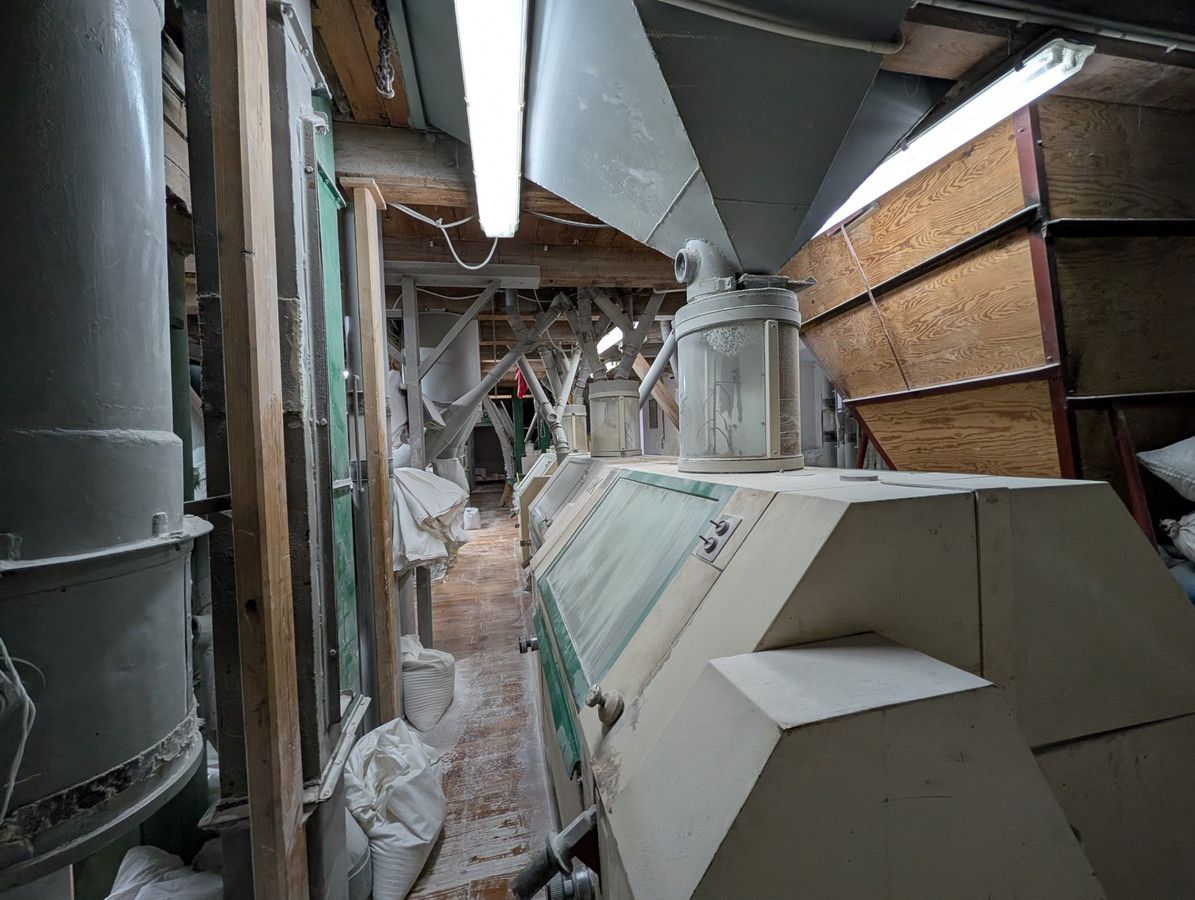 Działka inwestycyjna Kruszynek. Zdjęcie 11