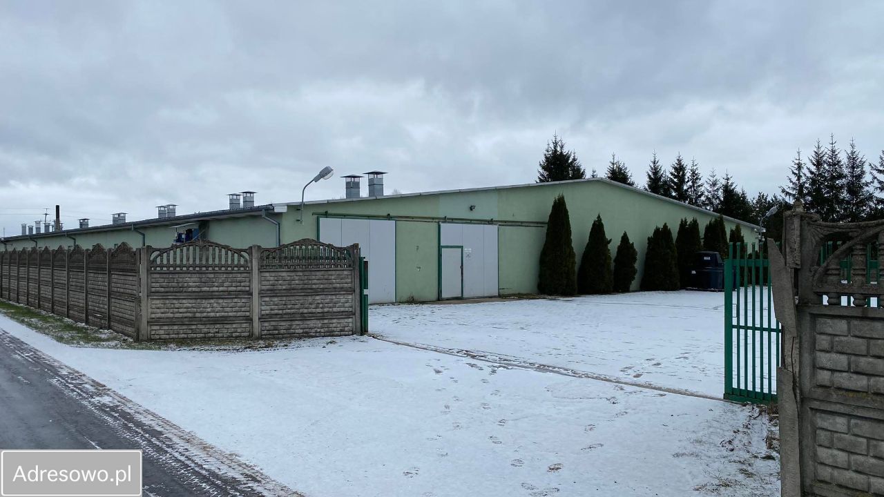 Hala/magazyn Horbów-Kolonia. Zdjęcie 13