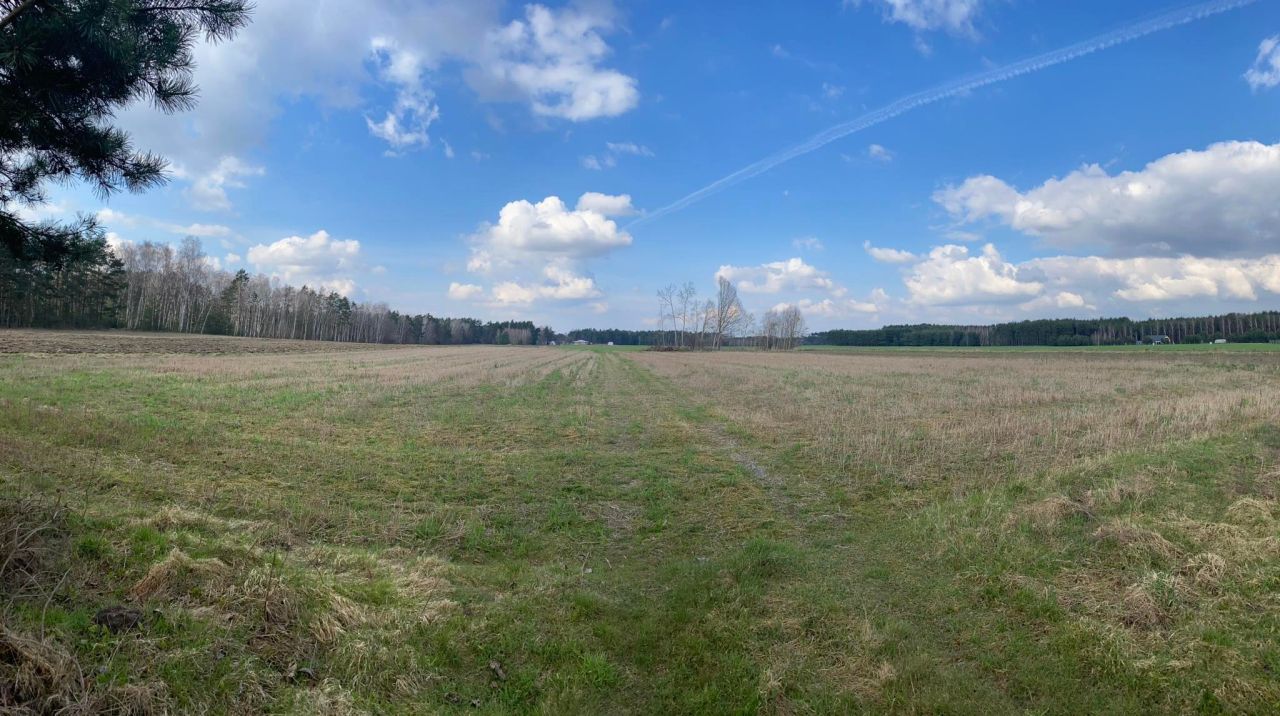 Działka budowlana Panaszew. Zdjęcie 3