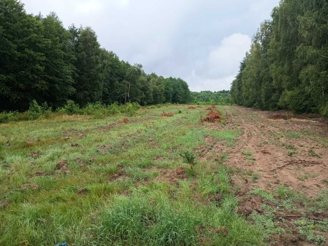 Działka rolna Perzanowo. Zdjęcie 1