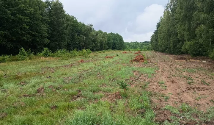 Działka rolna Perzanowo