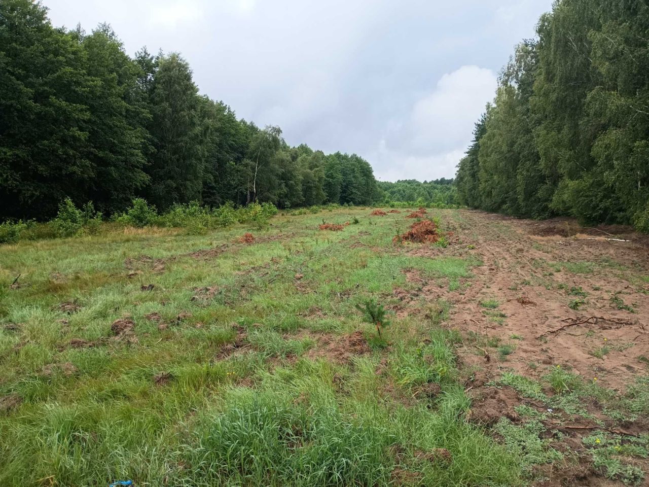 Działka rolna Perzanowo